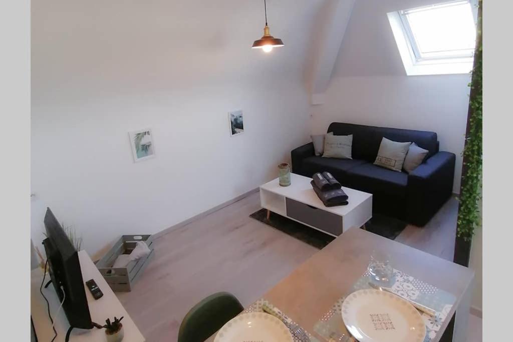 Appartement Le Cosy à Sens Extérieur photo