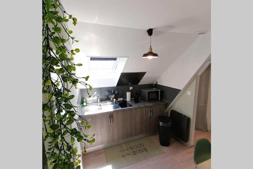 Appartement Le Cosy à Sens Extérieur photo